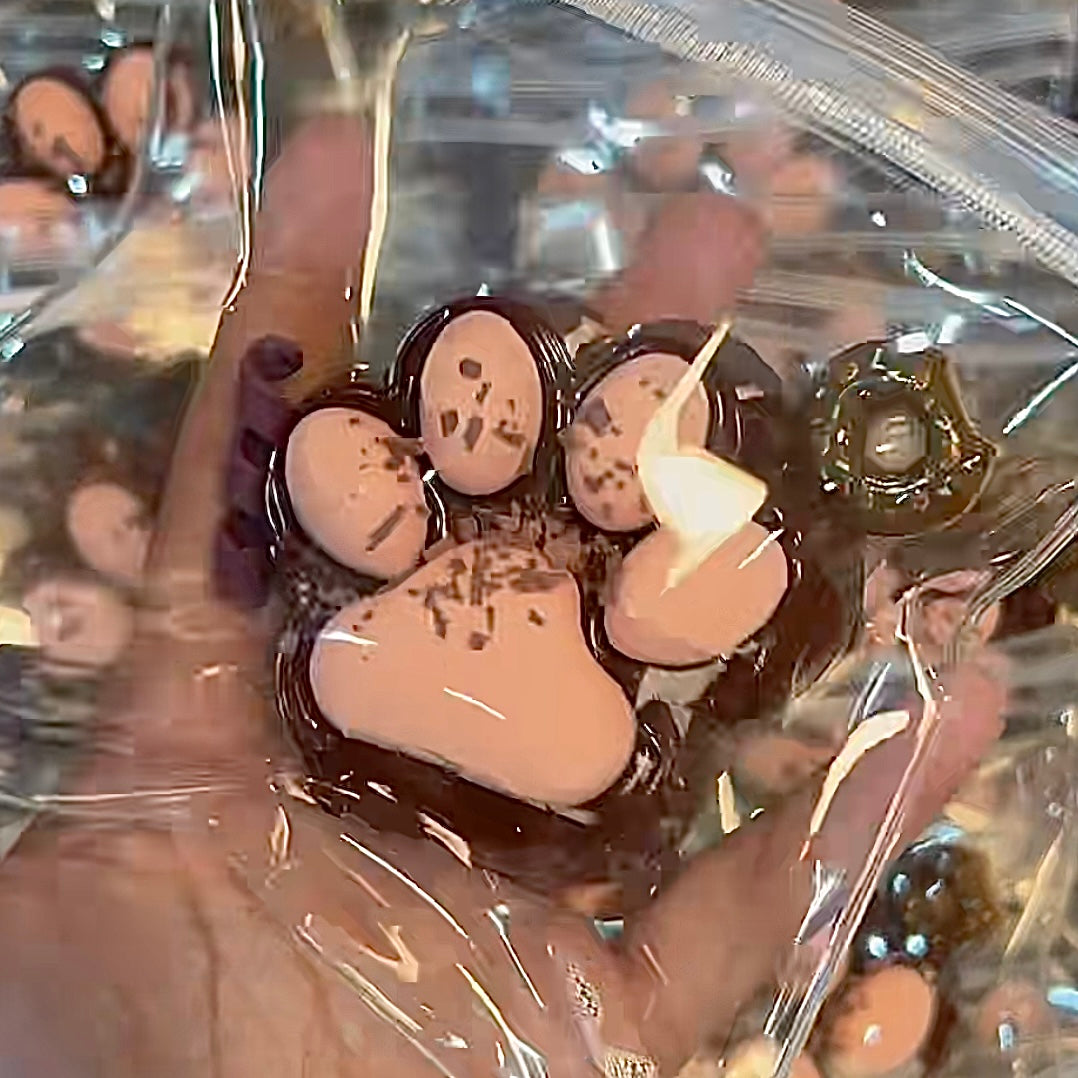 Chocolate cat paw squishy