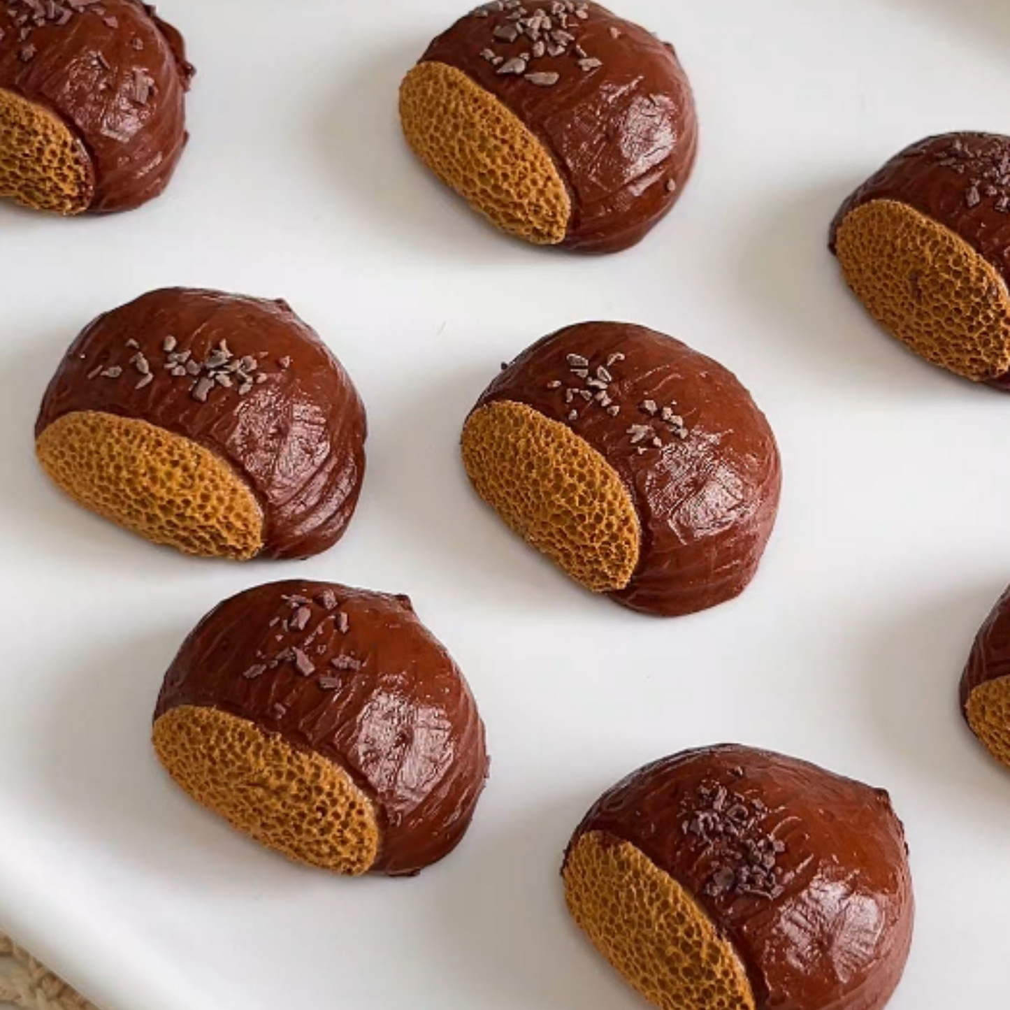 Handmade Chestnut squishy